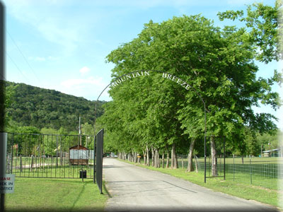 Then Go Through This Gate !!